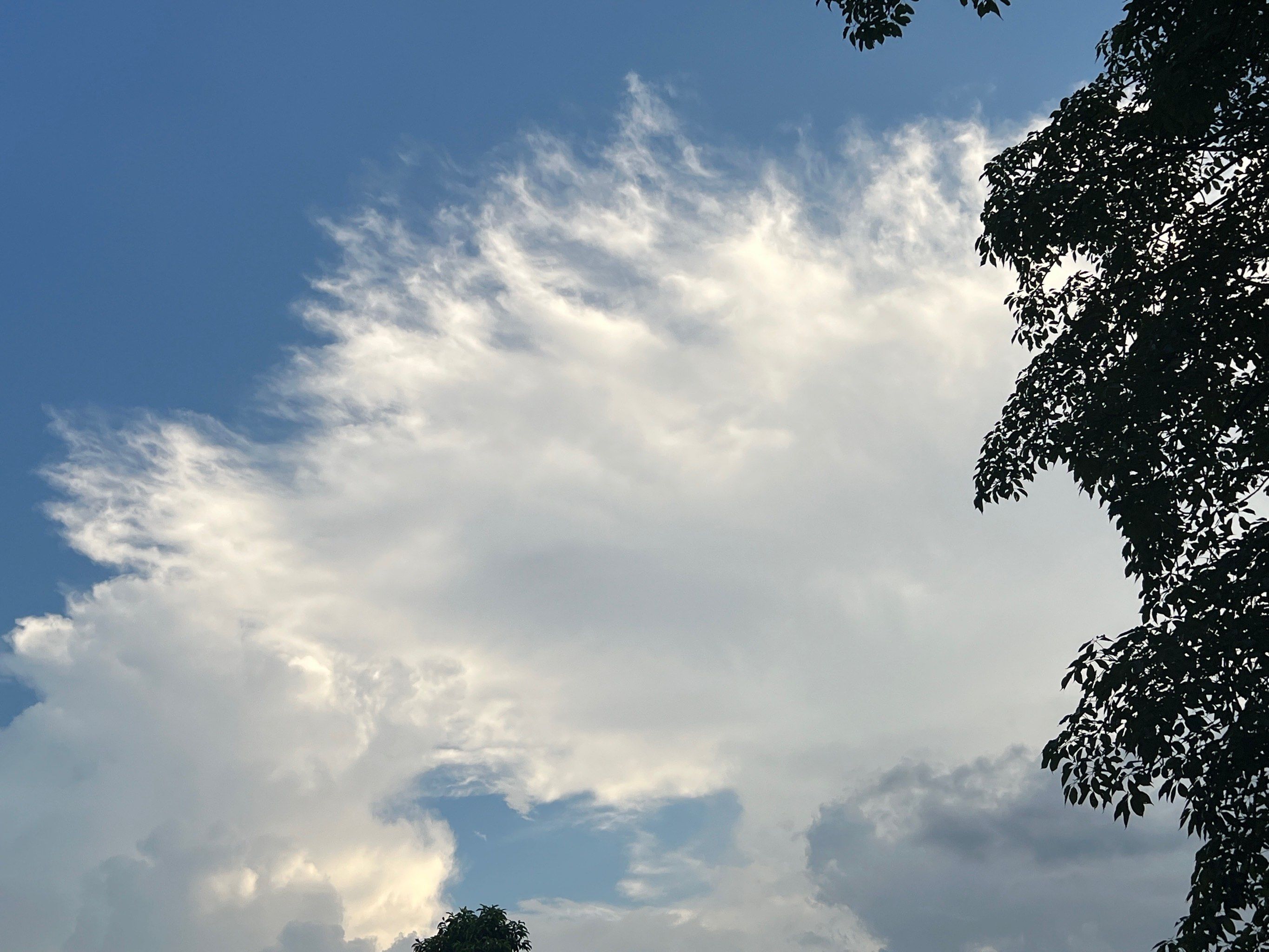 78|时常运动的人,
有着更加规律的生活和更为健康的体魄,

