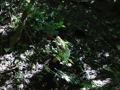 -龙门涧景区