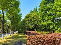 -上海交通大学(闵行校区)