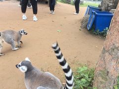 -秦皇岛野生动物园