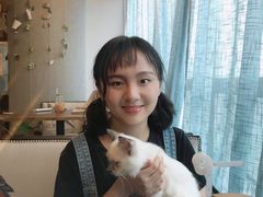 -共舞时光猫咖·狗咖(新街口店)