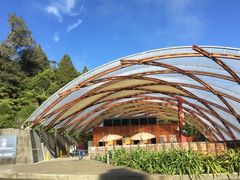 -怀托摩萤火虫洞