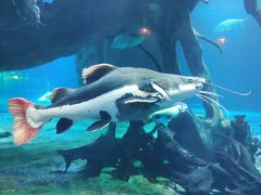 -华夏文旅海洋公园