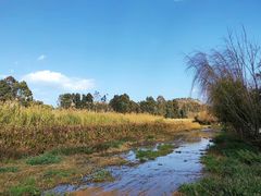 -抚仙湖禄充风景区