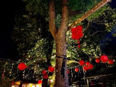 -张鸟园农家乐(张鸟园店)