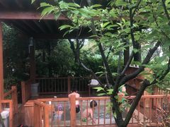 -思念果岭悦温泉