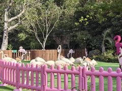 -上海野生动物园