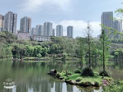 -重庆彩云湖湿地公园