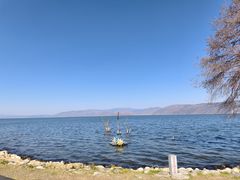 -洱海月湿地公园