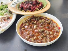 -张鸟园农家乐(张鸟园店)