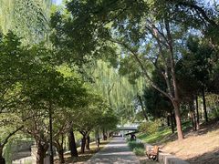 -元大都城垣遗址公园
