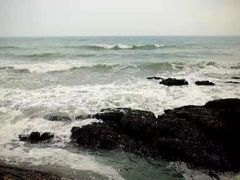 -盐洲岛