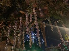 -贵安欢乐世界