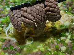 -小草房水煮鱼(东关大街店)