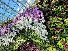 -石家庄市植物园