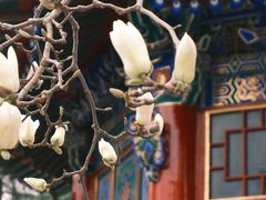 -西安市广仁寺