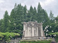 -灵谷景区
