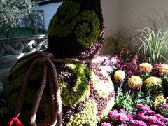 -杭州植物园