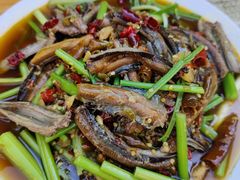 -春涛餐馆(下坝店)