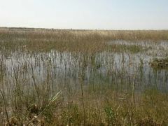 -亿利库布其七星湖沙漠生态旅游区