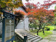 -溪口商量岗景区