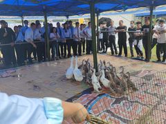 -武汉紫薇都市田园