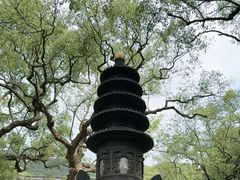 -普陀山风景名胜区-法雨禅寺