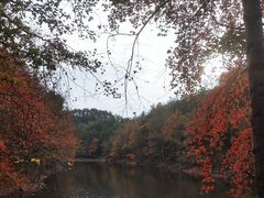 -青龙山国家森林公园