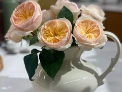 -BHG Bakery(北京SKP店)