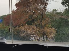 -百岁鱼庄·常州老字号(湖塘店)