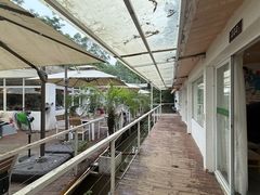 -芭厘农庄老字号·清远鸡