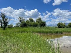 -野鸭湖国家湿地公园