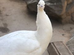 -西安世博园