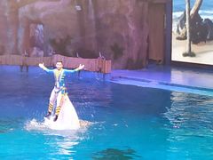 -芜湖新华联大白鲸海洋公园