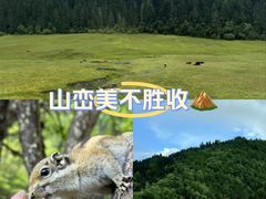 -普达措国家公园