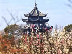 -上海海湾国家森林公园