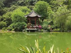 -云溪植物园