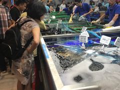 -盒马鲜生(大成店)