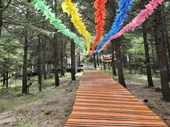 -苏木山森林公园
