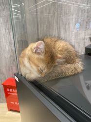 -東田造型
