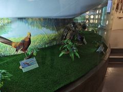 -下渚湖国家湿地公园科普馆