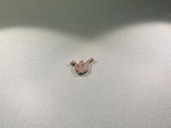 -鸿山遗址博物馆
