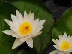 -大蜀山国家森林公园