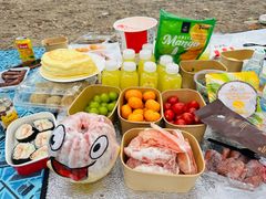 -上海共青森林公园