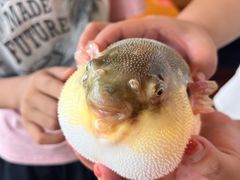 -永安鱼庄·镇江菜(丁卯店)