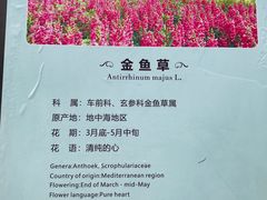 -保利石象湖景区
