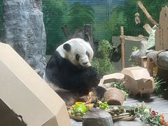 -灵玲国际马戏城