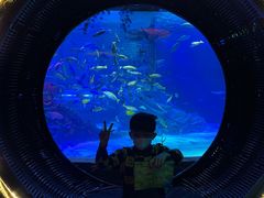 -沈阳海洋探索中心