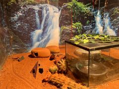 -多彩贵州城极地海洋世界