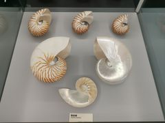 -天津古林古海岸遗迹博物馆